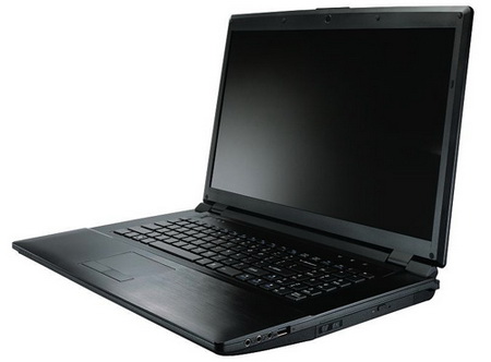 Ноутбук Eurocom B7110 FOX