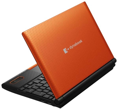 Нетбук Toshiba DynaBook N300