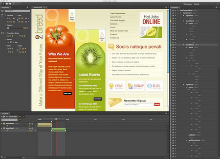 Скрин программы Adobe Edge Скрин программы Adobe Edge