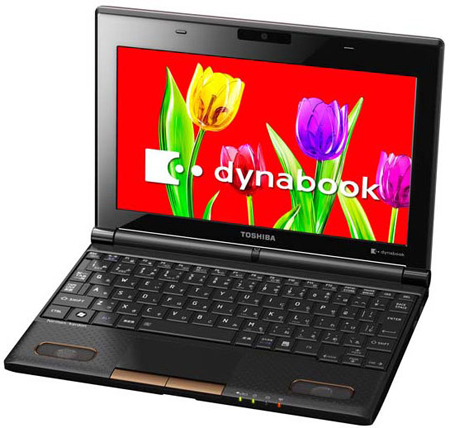 нетбук Toshiba Dynabook N301