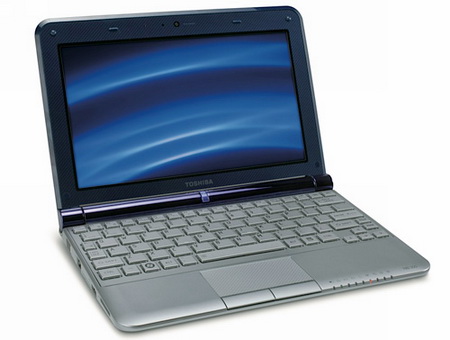 Нетбук Toshiba NB305